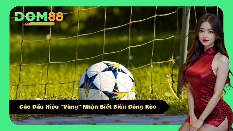 Các Dấu Hiệu "Vàng" Nhận Biết Biến Động Kèo