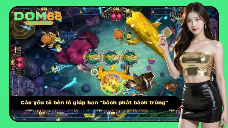 Các yếu tố bên lề giúp bạn "bách phát bách trúng"