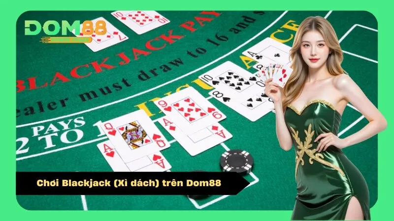 Chơi Blackjack (Xì dách) trên Dom88