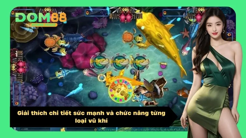 Giải thích chi tiết sức mạnh và chức năng từng loại vũ khí