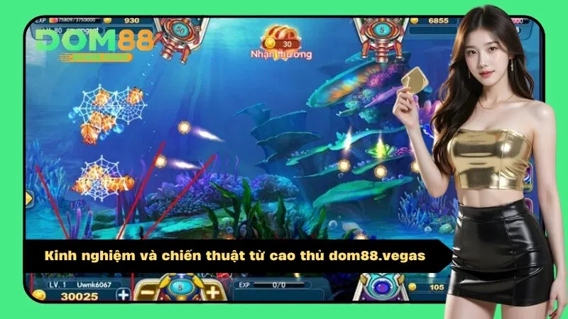 Kinh nghiệm và chiến thuật từ cao thủ modeli.ru.com