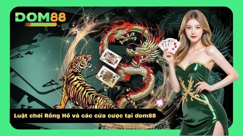 Luật chơi Rồng Hổ và các cửa cược tại dom88