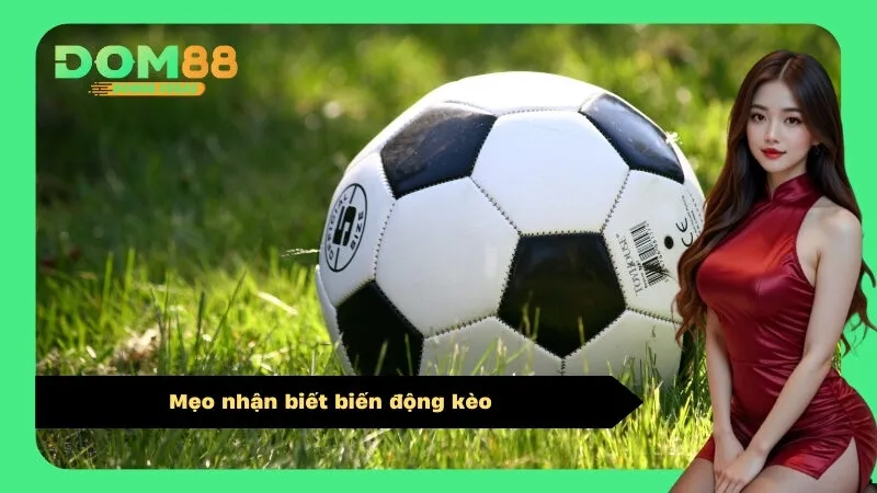 Mẹo nhận biết biến động kèo