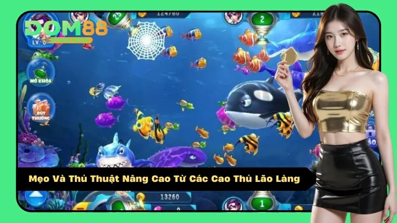Mẹo Và Thủ Thuật Nâng Cao Từ Các Cao Thủ Lão Làng
