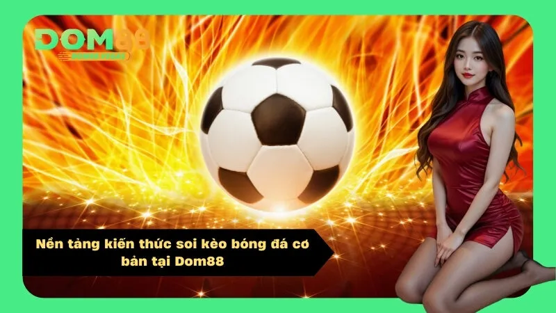 Nền tảng kiến thức soi kèo bóng đá cơ bản tại Dom88