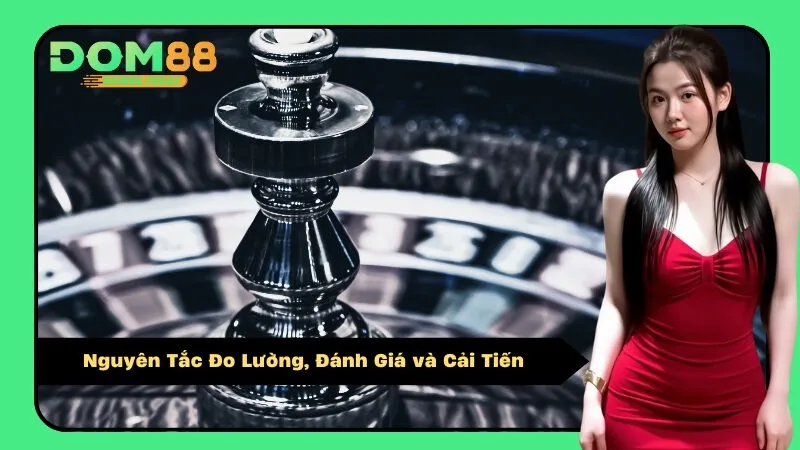 Nguyên Tắc Đo Lường, Đánh Giá và Cải Tiến